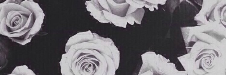 Yareth_NH's profile banner image