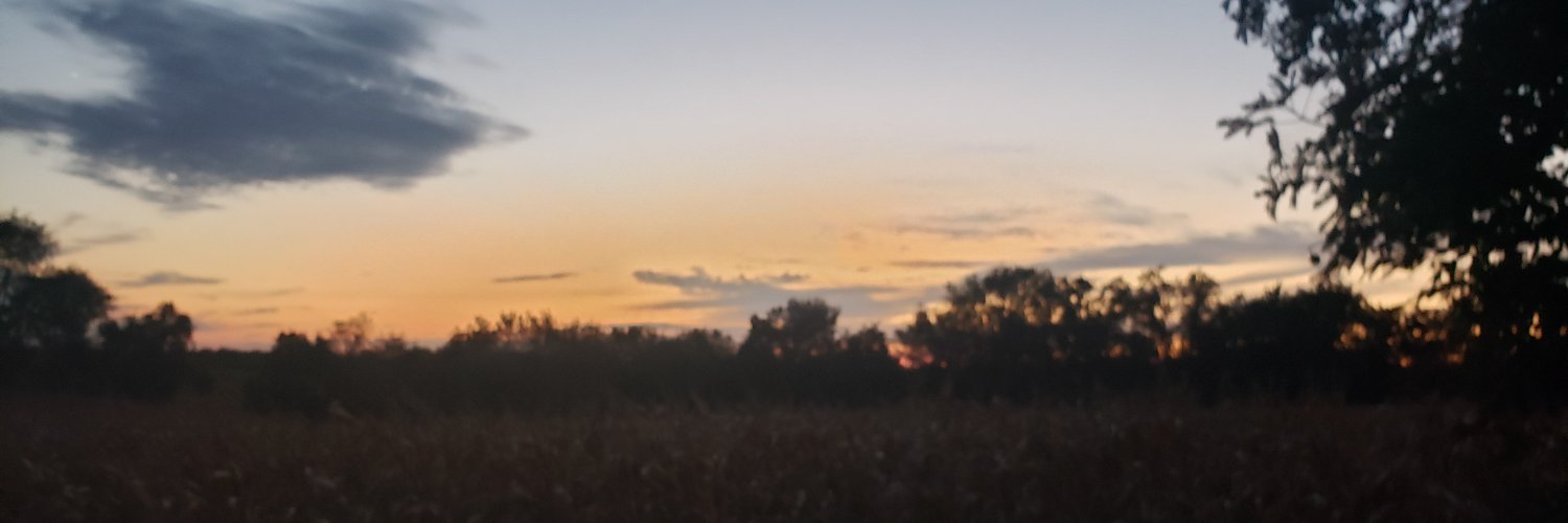 MrsTamiLyn's profile banner image