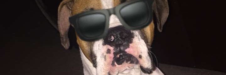 masonbobasun's profile banner image