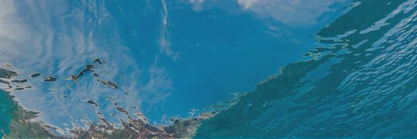 NRDCAdapts_Rob Profile Banner