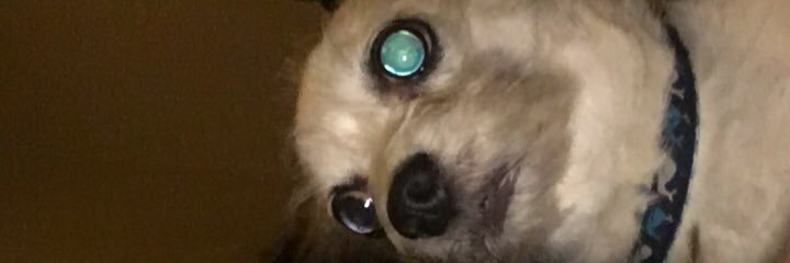 alexnagyy's profile banner image