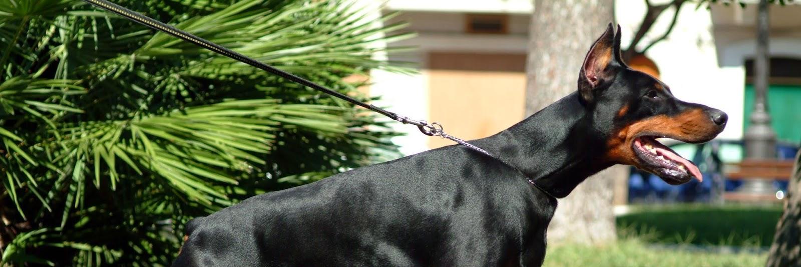 JaredBTownsend's profile banner image