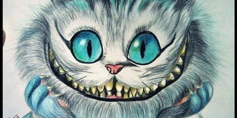 ma_useche's profile banner image