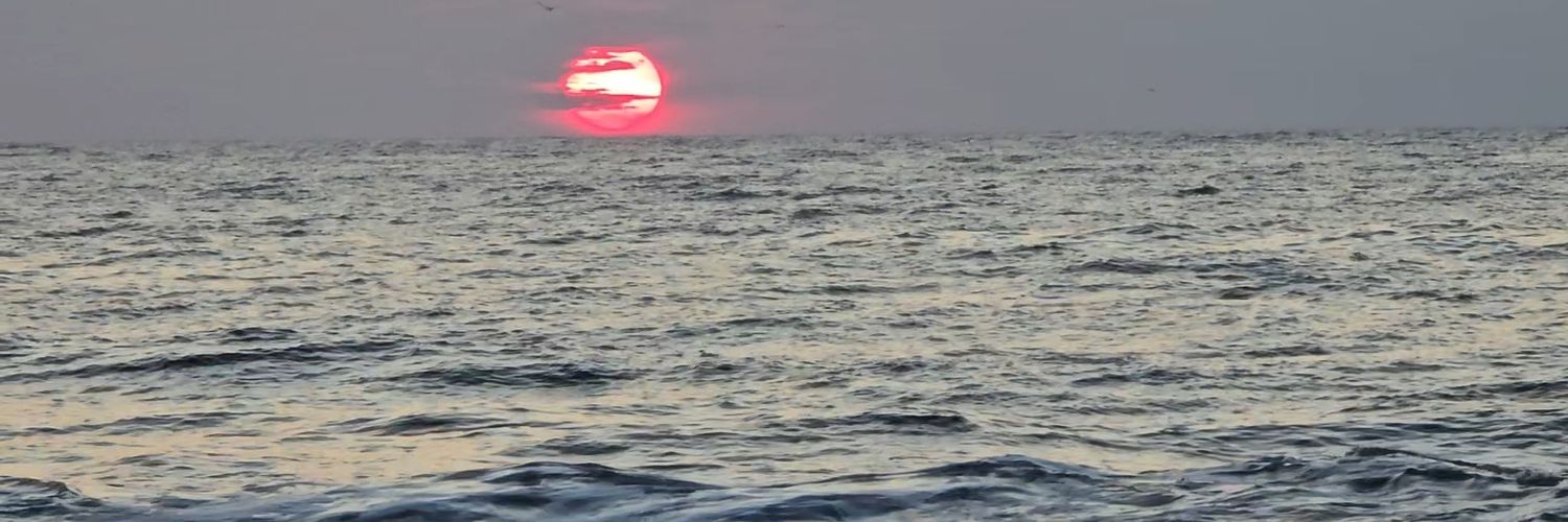 squinn1201's profile banner image