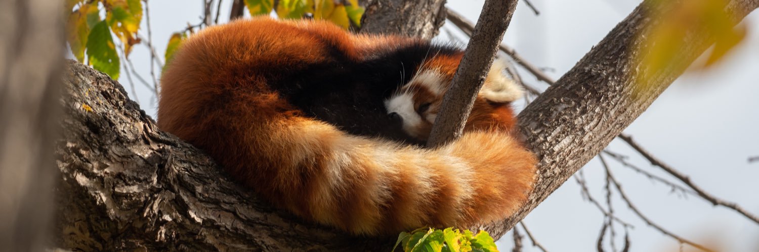 The Valley Zoo Development Society banner