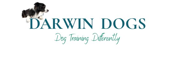 DarwinDogs's profile banner image