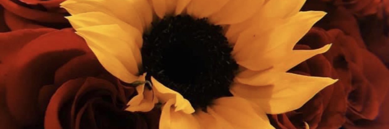_ShayyDollaaa's profile banner image