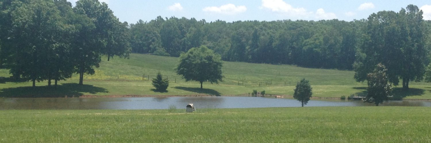 Emily Pisetsky, PhD banner