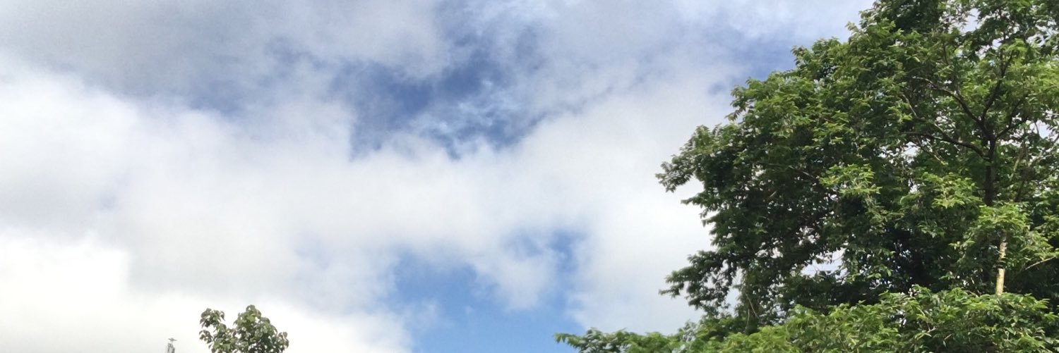 lgyelyan's profile banner image