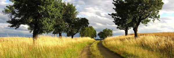 mjamesmith Profile Banner