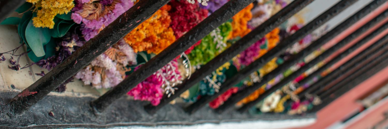 NicoleCer_'s profile banner image