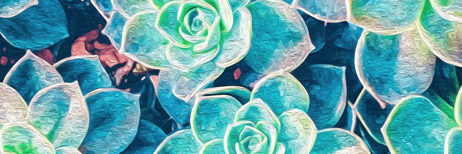 miqeloubruch's profile banner image