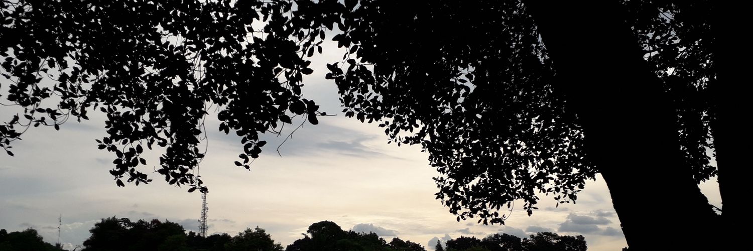 bebyferry's profile banner image