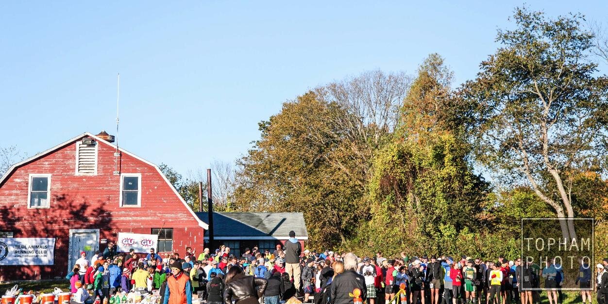 Trail Animals banner