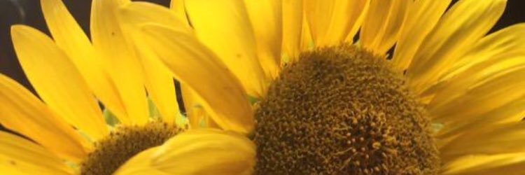 Jennnniferbrown's profile banner image