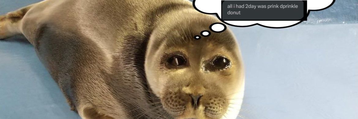 𝗷𝗮𝘀𝗼𝗻 🍊🐊🇵🇸 banner