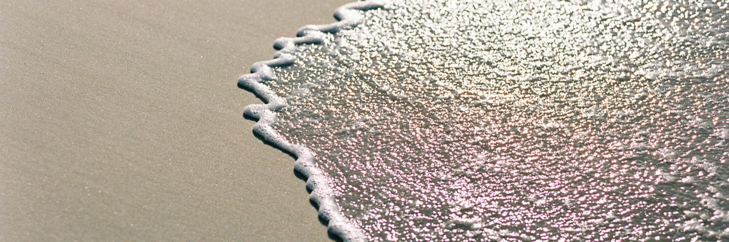 Renee Hollingshead banner