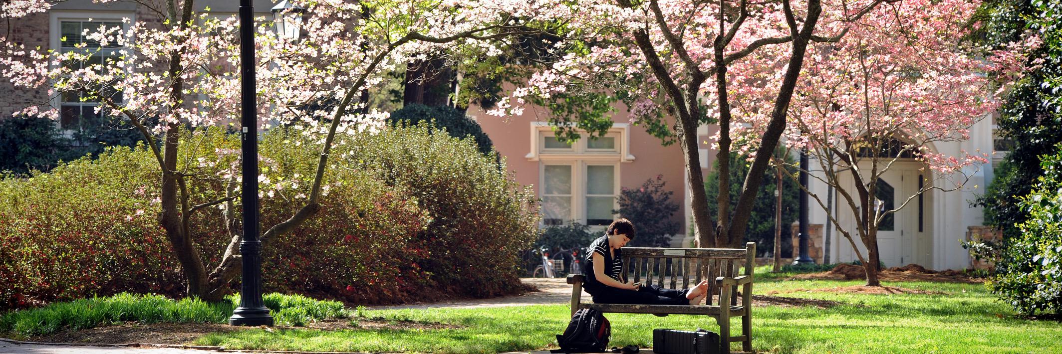 UNC Linguistics banner