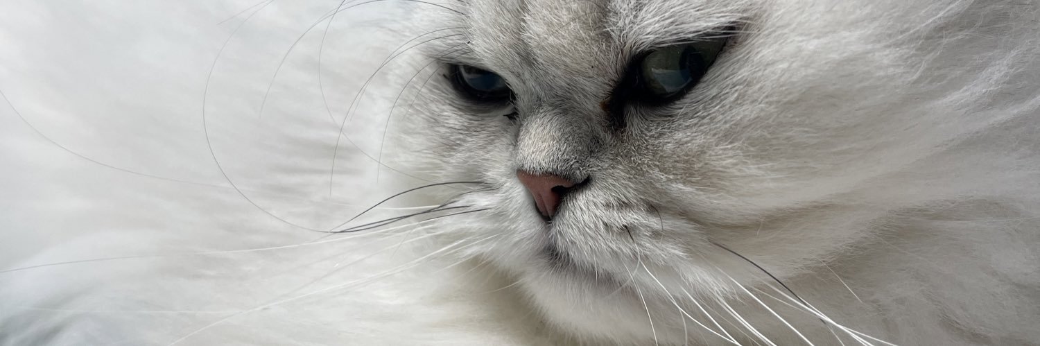 sugarhoneyicedtea ♔ banner