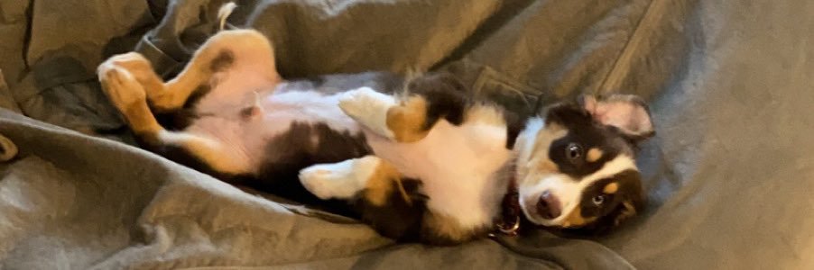 noahzwit72's profile banner image