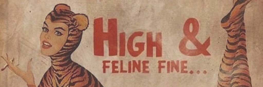 ☽ dreams come true ☾ ♪ banner