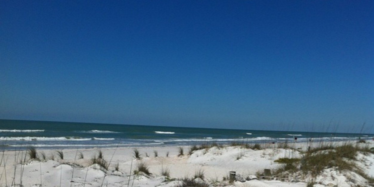 reneeaalexander's profile banner image