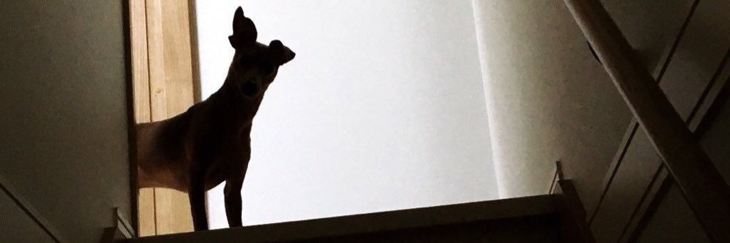 fuyuma72's profile banner image