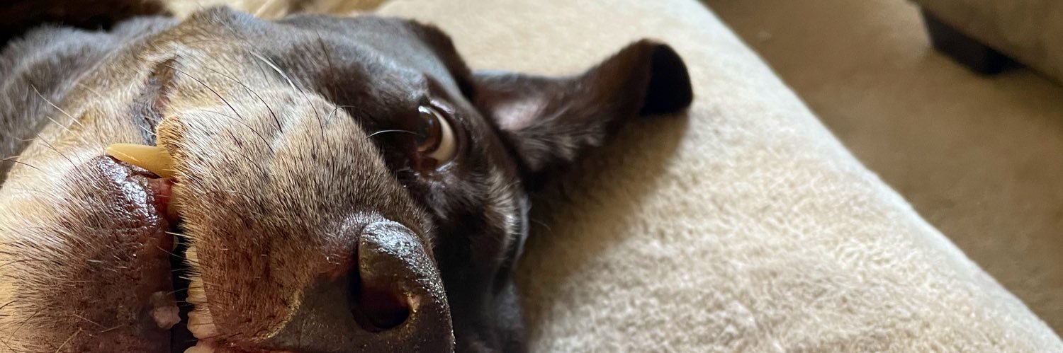 brookestreamriv's profile banner image