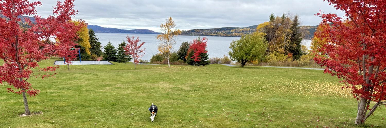 Charles Pender 🇺🇦 banner