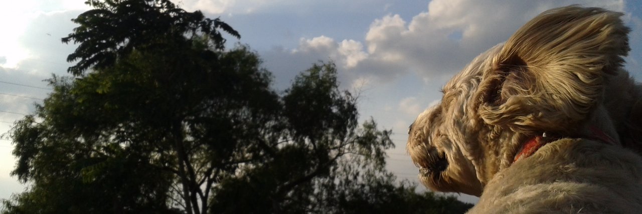 _Kavs's profile banner image
