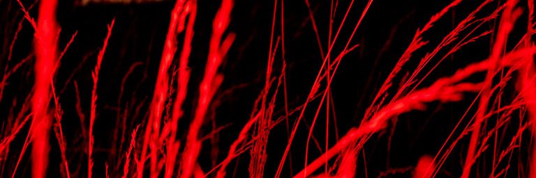 marcosaltgelt's profile banner image
