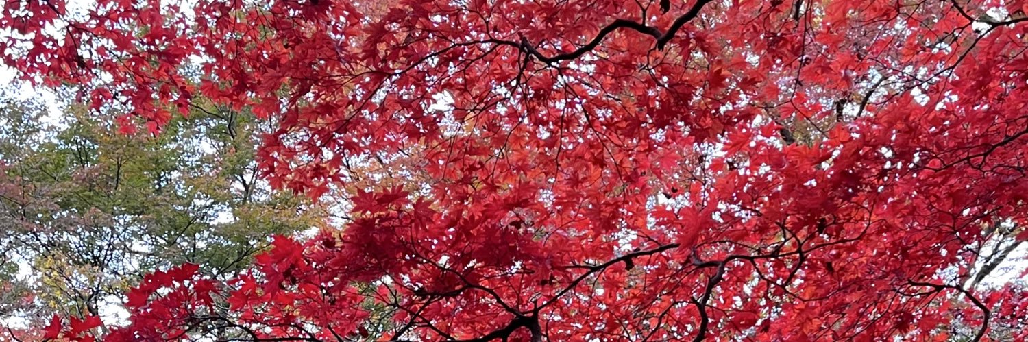 ari_mmt's profile banner image