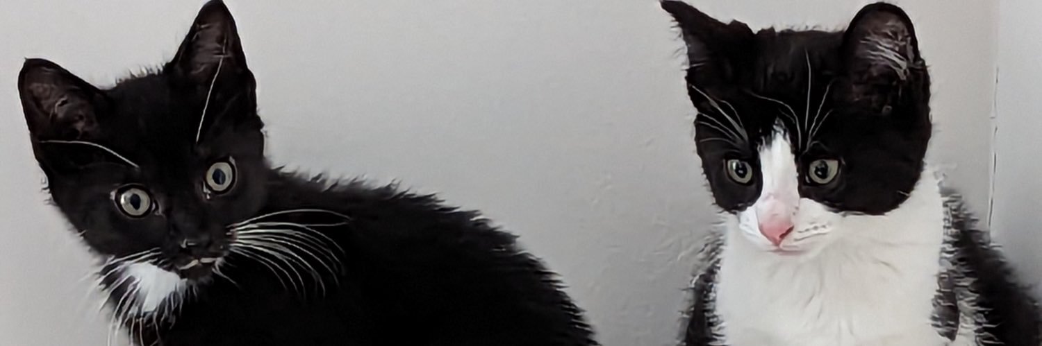 TJDanowski's profile banner image