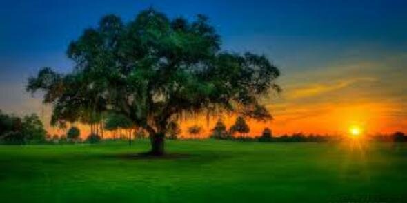 BodyByBacon1's profile banner image