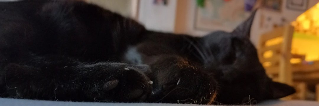 martinezroo's profile banner image
