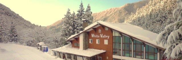 whitevalleyski's profile banner image