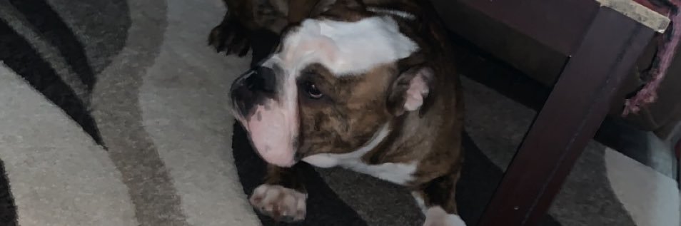 DETBobby's profile banner image