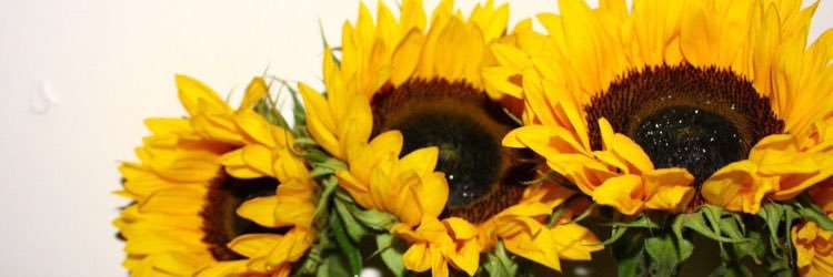 AlyssaJordan17's profile banner image