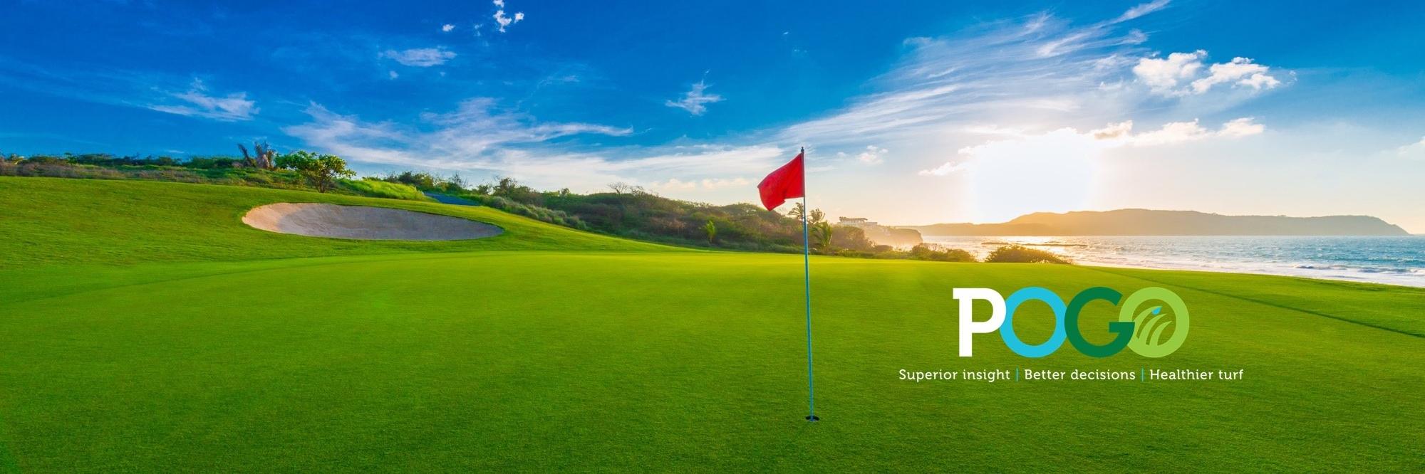POGO TurfPro banner