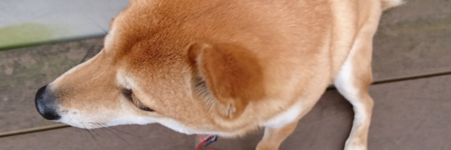 ねざーらん丸 banner