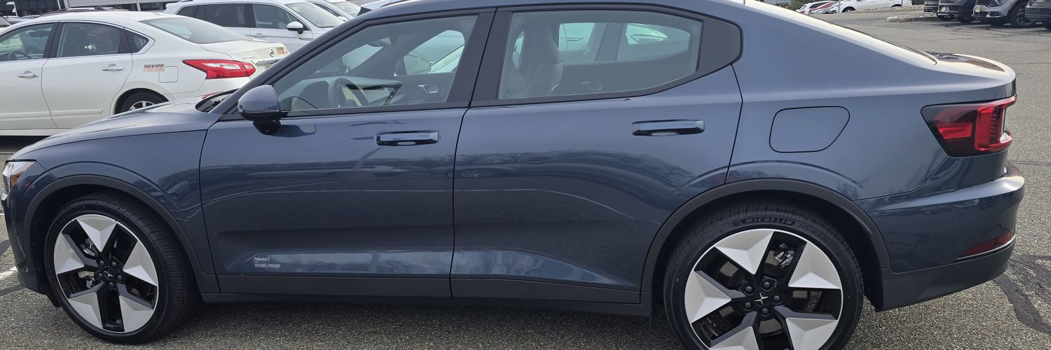 Tulip 🌷 ☮️ banner