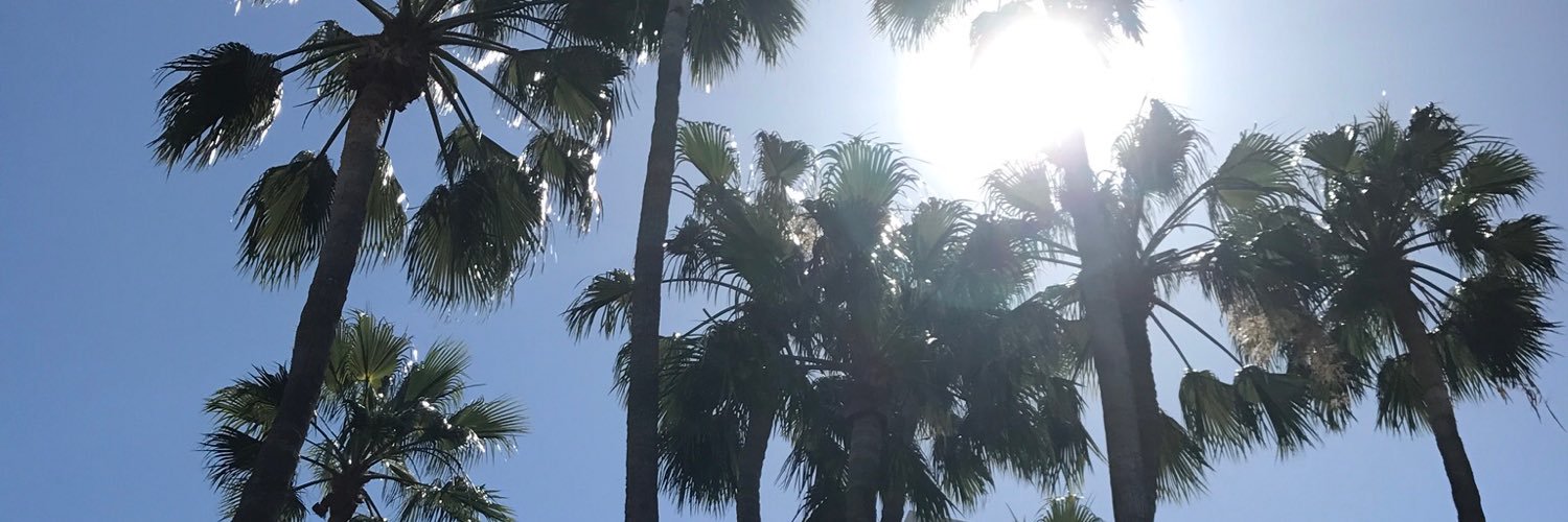 sarah_hodson_'s profile banner image