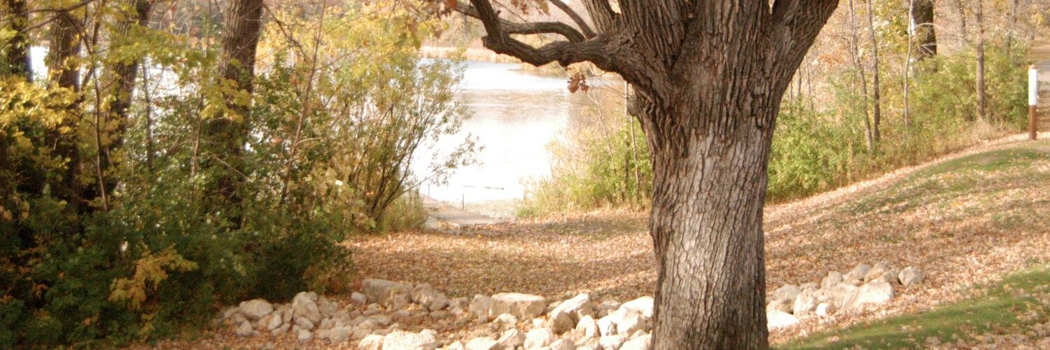 Pattipaulson1's profile banner image