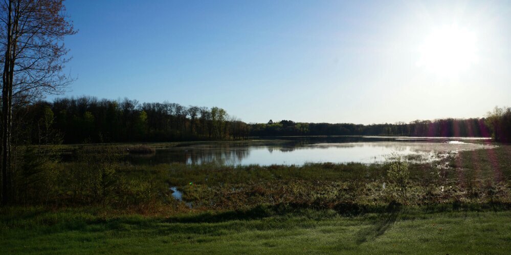 Joshua Heintzeman banner