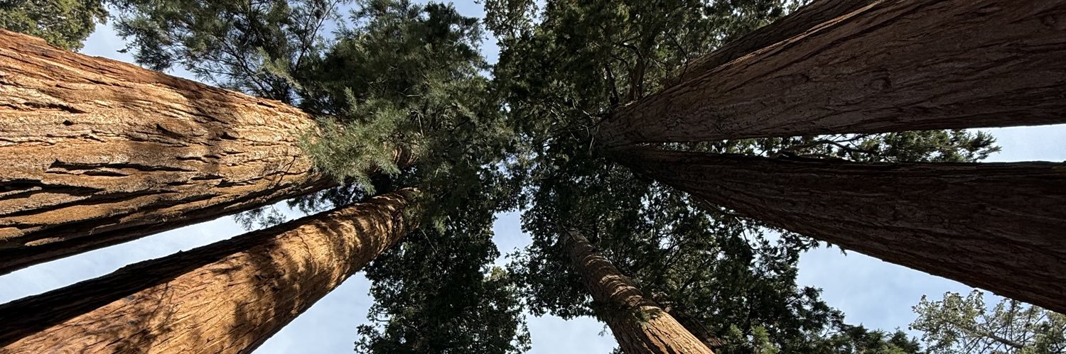 Free Willy Maze banner