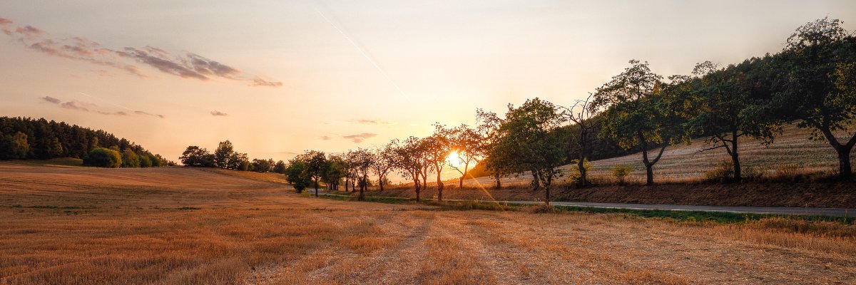 horak's profile banner image