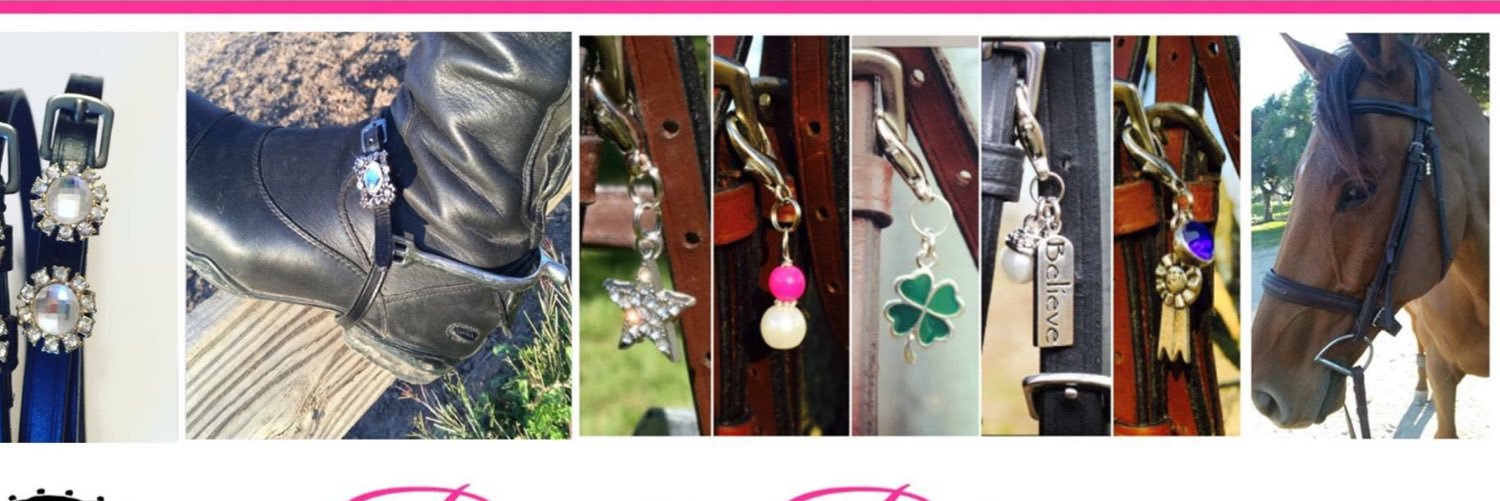 Bridle_Bling's profile banner image