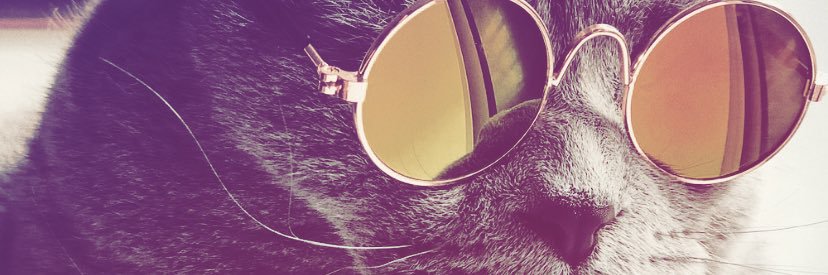 notlemonbread's profile banner image