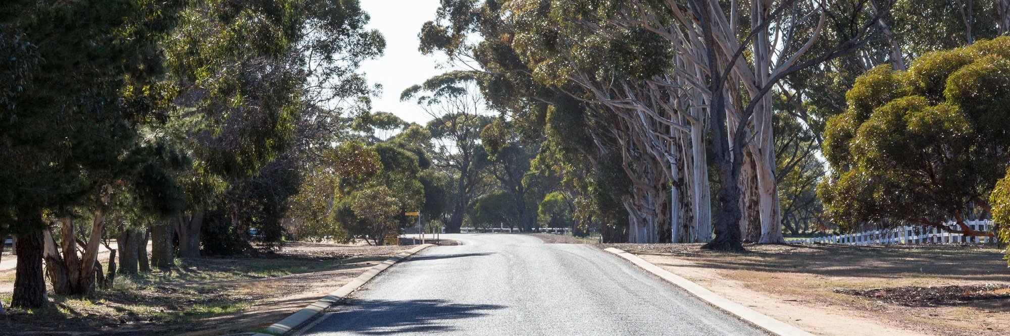 WheatbeltLocal's profile banner image
