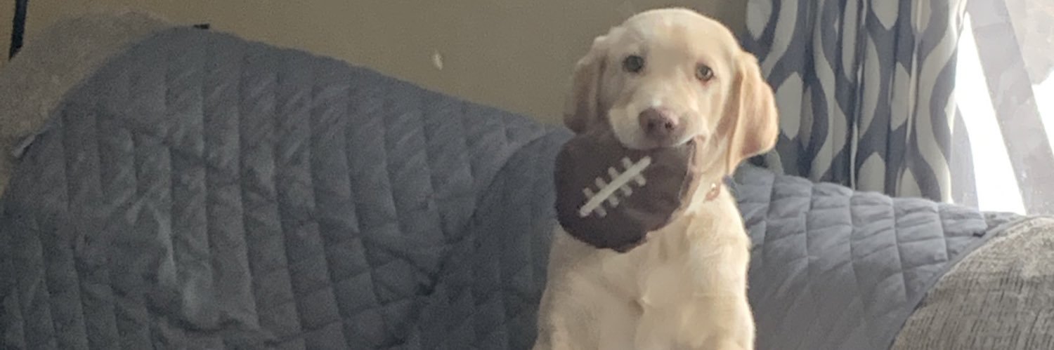 mattyreiffs's profile banner image